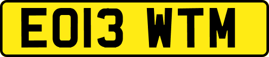 EO13WTM