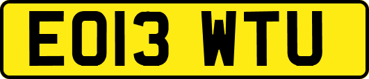 EO13WTU