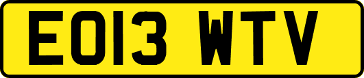 EO13WTV