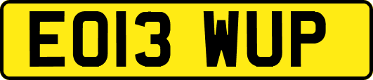 EO13WUP
