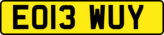 EO13WUY