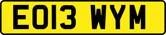 EO13WYM