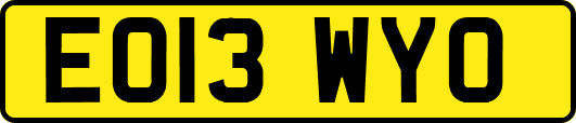 EO13WYO