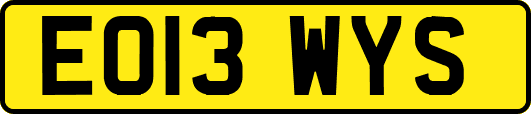 EO13WYS