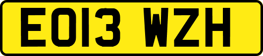 EO13WZH