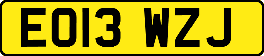EO13WZJ
