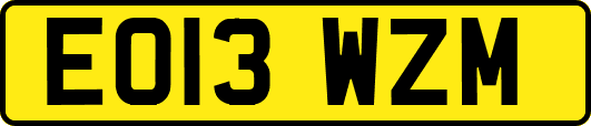 EO13WZM