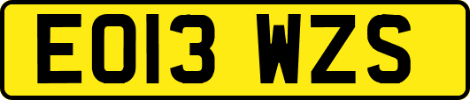 EO13WZS