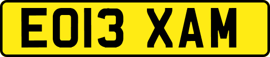 EO13XAM