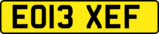 EO13XEF