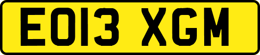 EO13XGM