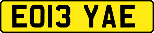 EO13YAE
