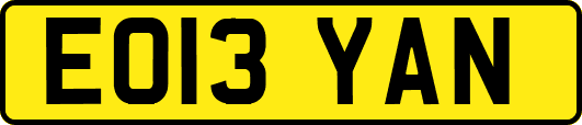 EO13YAN