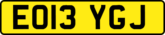 EO13YGJ
