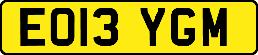 EO13YGM