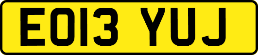 EO13YUJ