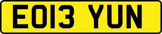 EO13YUN