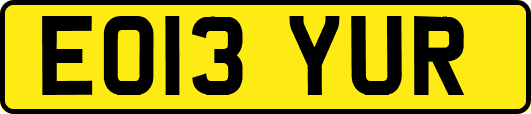 EO13YUR