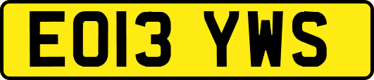 EO13YWS