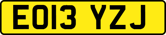 EO13YZJ