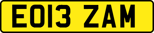 EO13ZAM