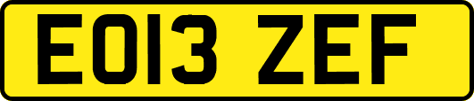 EO13ZEF