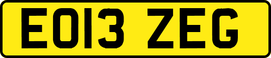 EO13ZEG