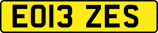 EO13ZES