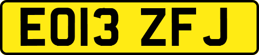 EO13ZFJ