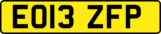 EO13ZFP