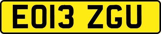 EO13ZGU