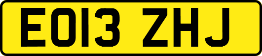 EO13ZHJ