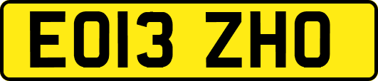 EO13ZHO