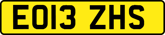 EO13ZHS