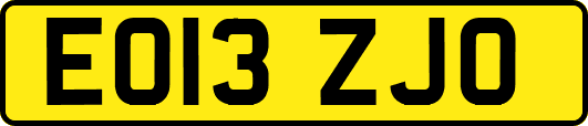 EO13ZJO