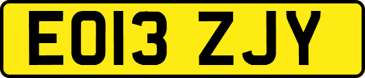 EO13ZJY