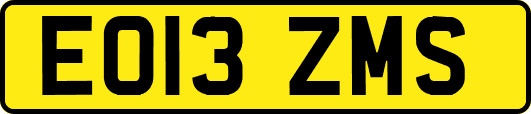 EO13ZMS