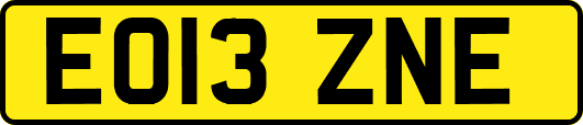 EO13ZNE