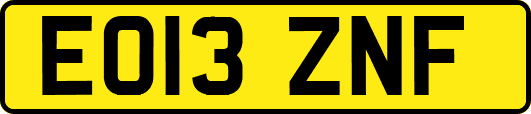 EO13ZNF