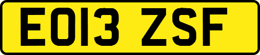 EO13ZSF