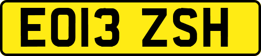 EO13ZSH