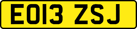 EO13ZSJ