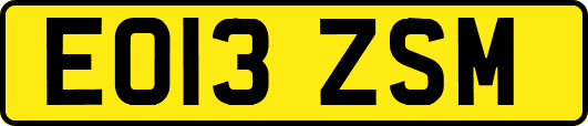 EO13ZSM