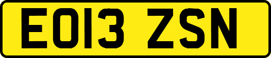 EO13ZSN