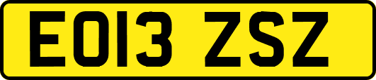 EO13ZSZ