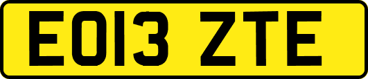 EO13ZTE