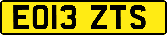 EO13ZTS