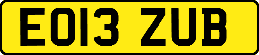 EO13ZUB