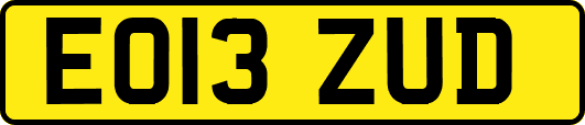EO13ZUD