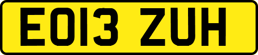 EO13ZUH